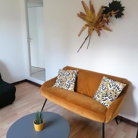Saint-Jean-des-Mauvrets Studio "Douceur Angevine"酒店 外观 照片